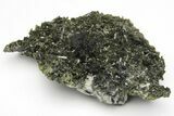 Lustrous Epidote Crystals on Actinolite - Pakistan #213446-1